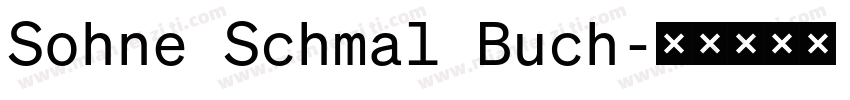 Sohne Schmal Buch字体转换